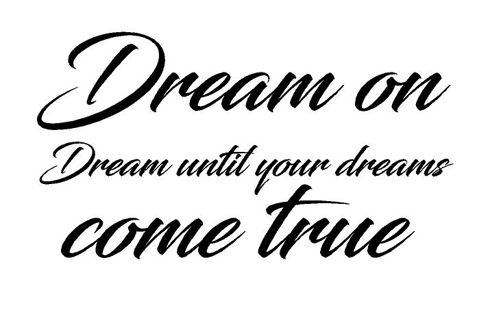 Dream on ( Steven Tyler)